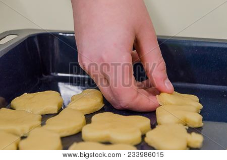 The Boy Lays Out Cookies From The Dough On A Baking Tray, Very Tasty.