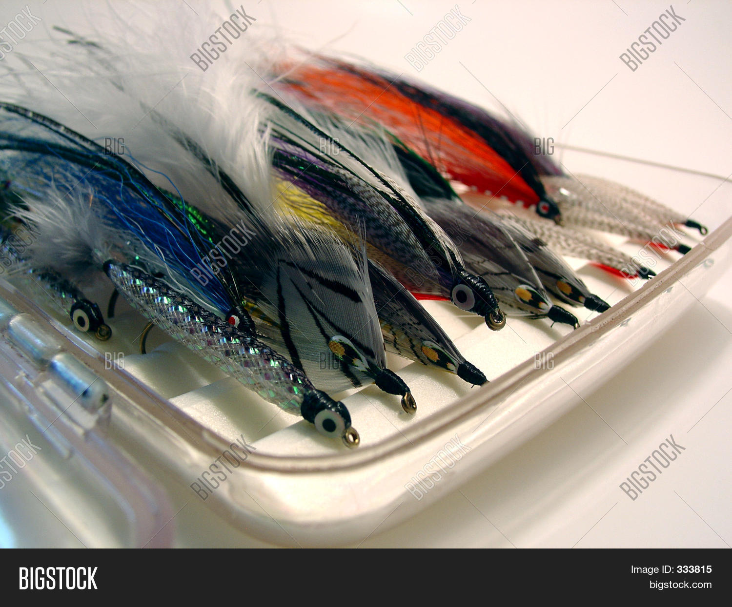 Image Preview