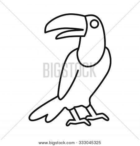 Vector Illustration Of Toucan And Bird Sign. Set Of Toucan And Jungle Stock Vector Illustration.