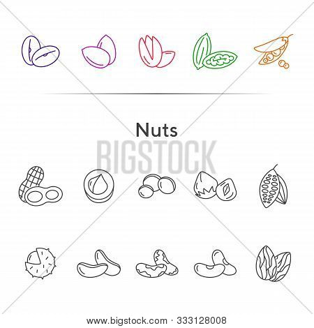 Nuts Icons. Set Of Line Icons On White Background. Cocoa Bean, Brazil Nuts, Soy Nuts. Dieting Concep