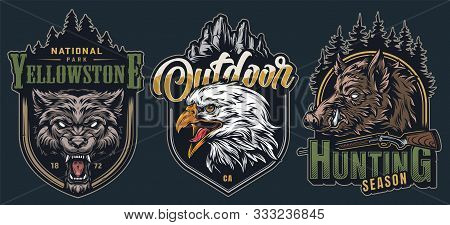 Colorful Wildlife Vintage Labels With Aggressive Ferocious Wolf Wild Boar And Eagle Heads On Green B