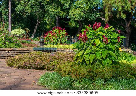The Park Of Funchal City