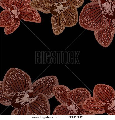 Abstract Purple Orhids Illustration On Black Background. Realistic Orchid For Print Design. Vector D