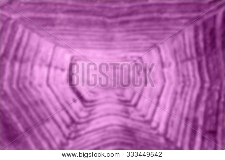 Blurred Pattern Of Tortoise Shell. Cropped Shot Of Tortoise Shell. Blurred Abstract Nature Backgroun