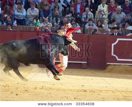 Sevilla-huhtikuu: Novilladas Plaza De Toros De Sevilla. Novillero: Emilio Huertas. Toukokuu 20, 2012