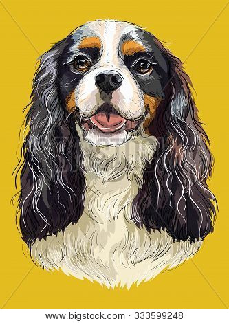 Realistic Portrait Of Dog Cavalier King Charles Spaniel. Colorful Vector Hand Drawing Illustration I