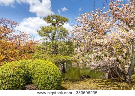 Garden In Nijo Castle In Kyoto, Japan