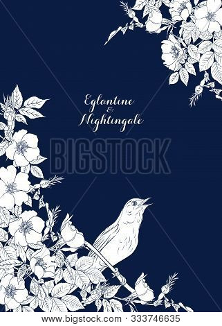 Dog-rose, Briar, Brier, Eglantine, Canker-rose And Nightingale. Template For Wedding Invitation, Gre