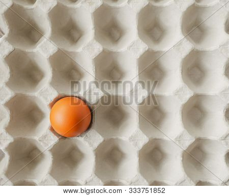 Concept Outstanding Image, Notable One Alone Fresh Brown Chicken Egg Left In Paper Tray Pit Pattern 