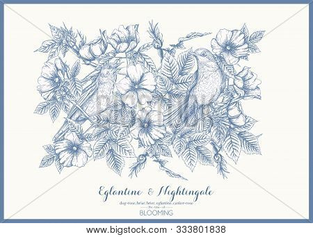 Dog-rose, Briar, Brier, Eglantine, Canker-rose And Nightingale. Template For Wedding Invitation, Gre