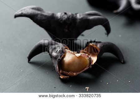 Closeup Water Caltrop
