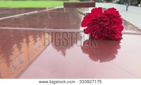 Red Carnation Flower Laying On A Stone Granite Plate Near The Monument Of Unknown Soldier And Eterna