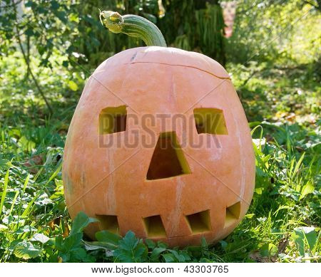 Halloween dýně