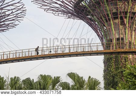 Singapore- Sep 9, 2021: Ocbc Skyway Aerial Walkway Between Supertree Grove Artificial Tree Construct