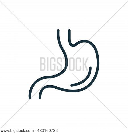 Stomach Line Icon. Human Alimentary Internal Organ Linear Pictogram. Healthy Stomach Outline Icon. E