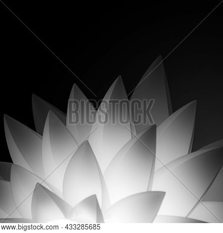 Repeating Geometric Abstract Flower Black And White