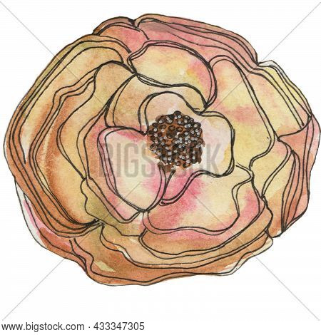 Watercolor Single Rose Of Pastel Color Without A Leaf