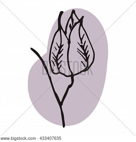 The Plant Is Drawn By Hand With A Pen And Translated Into Vector Format. In The Background There Is 