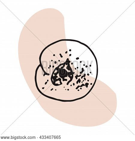 The Plant Is Drawn By Hand With A Pen And Translated Into Vector Format. In The Background There Is 