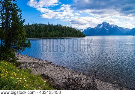 View Of Jackson Lake From Colter Bay In Wyoming Grand Teton National Park