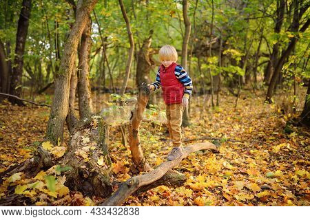 Little Boy Having Fun During Stroll In The Forest At Sunny Autumn Day. Active Family Time On Nature.