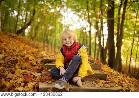 Little Boy Having Fun During Stroll In The Forest At Sunny Autumn Day. Active Family Time On Nature.