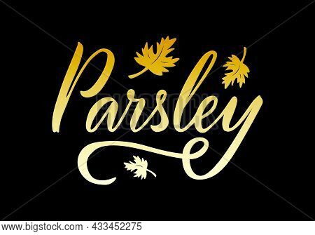 Vector Illustration Of Parsley Lettering For Packages, Product Design, Banner, Spice Shop  Price Lis