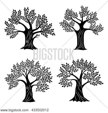 Living Trees Silhouettes. Minimalistic Genealogical Tree Set With Foliage, Life Education And Health
