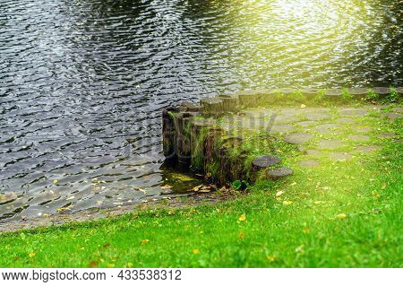 The Shore Of The Pond Is Reinforced By The Trunks Of Dervies Driven Into The Ground.