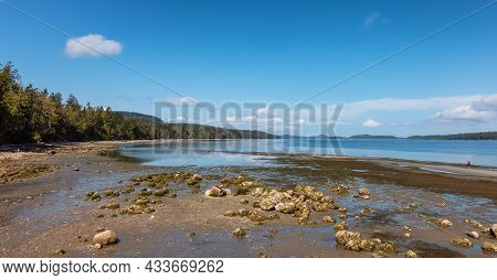 Scenic Shore On Pacific Ocean West Coast. Sunny Summer Day. Fernwood Point Beach, Salt Spring Island