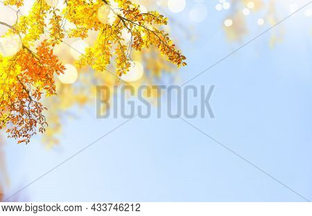 Window Sill Background With Fall Landscape And Free Space For Your Decoration, Autumn Lush And Woode