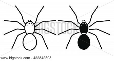 Linear Icon. Eight-legged Poisonous Spider. Dangerous Insect Pests. Simple Black And White Vector Is