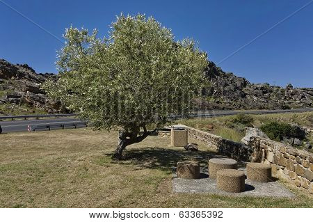 Theronsberg pass - nook for repose