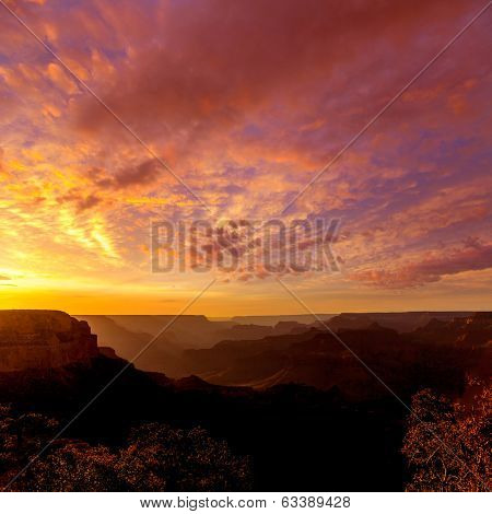 Arizona sunset Grand Canyon National Park Yavapai Point USA