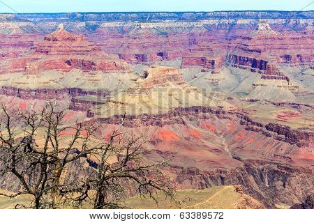 Arizona Grand Canyon National Park Yavapai Point USA