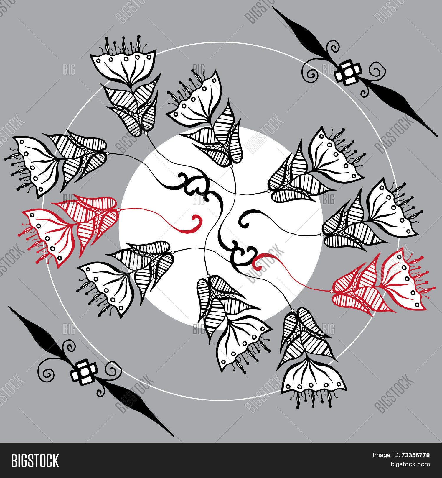 Image Preview