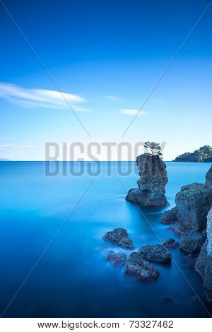 Portofino Park. Pine Tree Rock Cliff. Long Exposure. Liguria, Italy