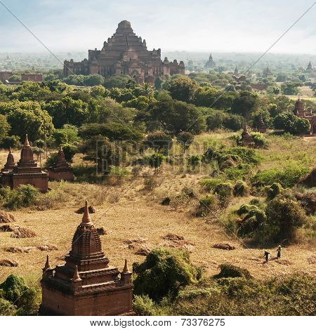 Buddhist Temples At Bagan Kingdom. Dhammayan Gyi Pagoda, Myanmar (burma)