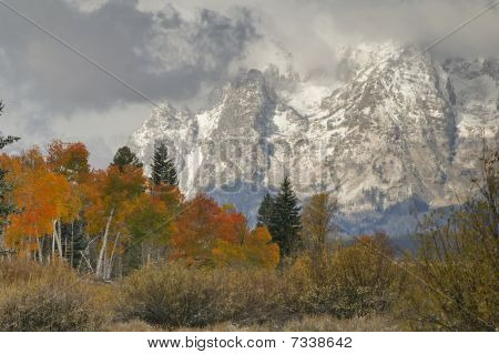 Snowy Mountain Vista
