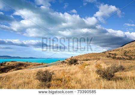 Beautiful New Zealand Landscape