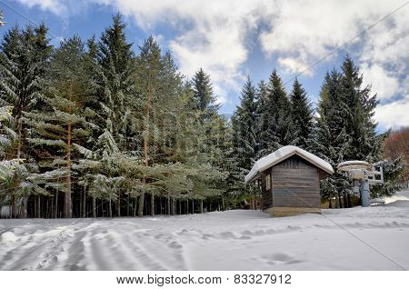 Winter landscape