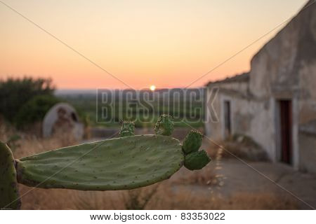 Sicily Sunset