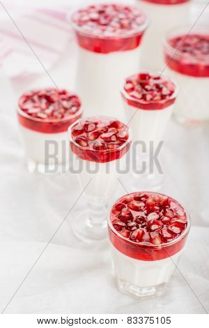 pannacotta  with pomegranate jelly