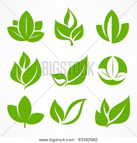 Green Leaf Signs