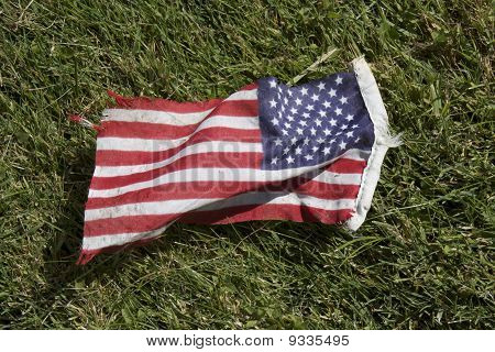 The American Flag