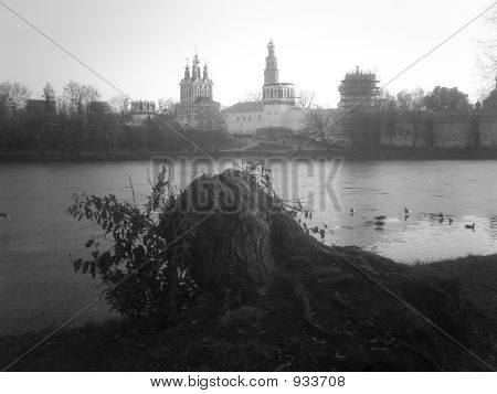 Teich