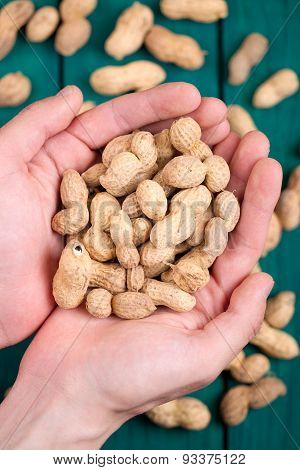 Peanut In Hands