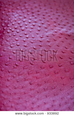 Textur