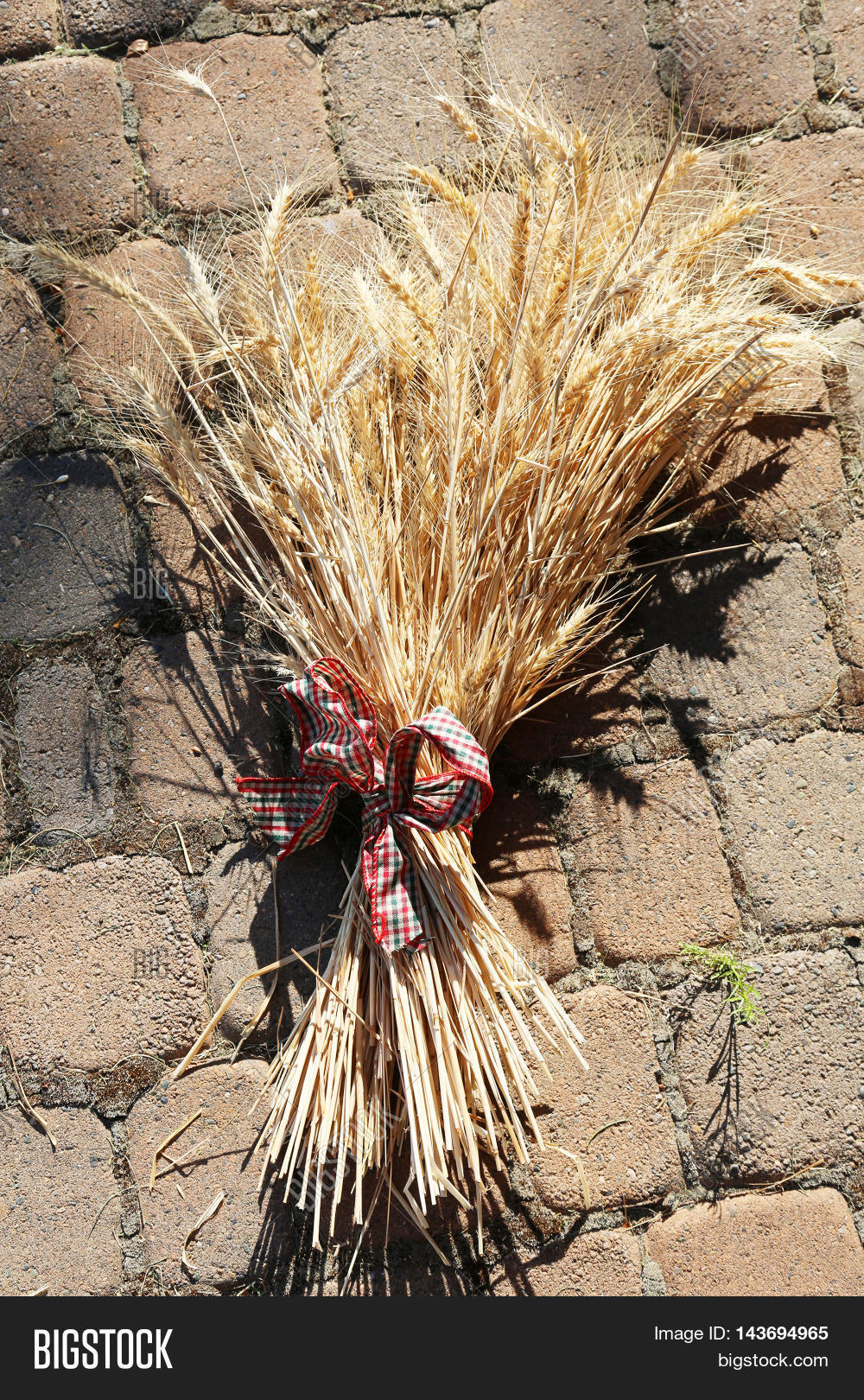 Sheaf Wheat Aka Bundle Image & Photo (Free Trial) Bigstock
