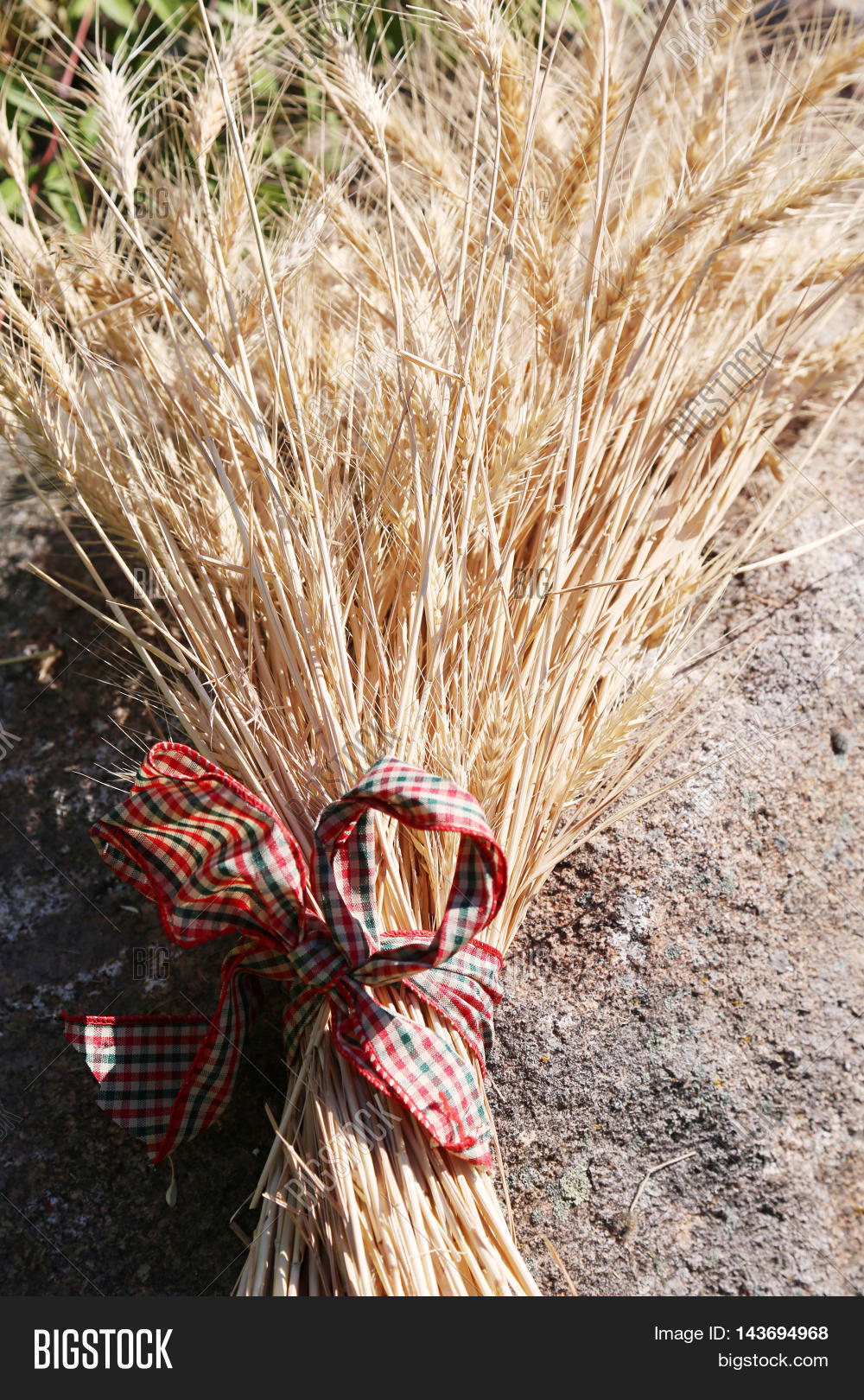 Sheaf Wheat Aka Bundle Image & Photo (Free Trial) Bigstock